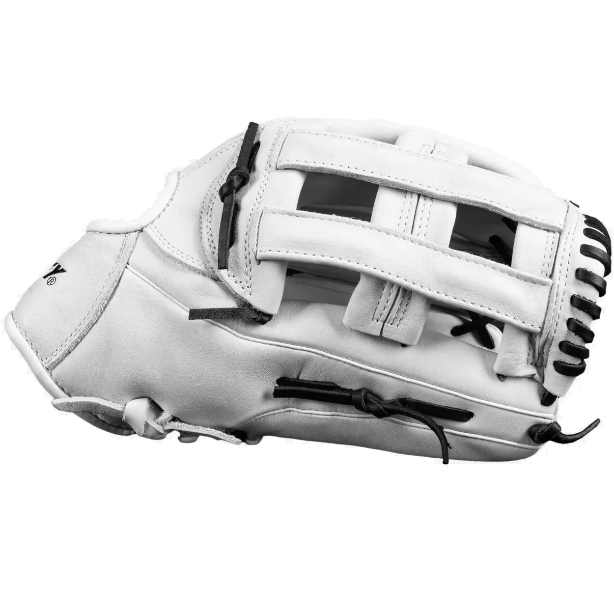 Dudley 13 Slowpitch Glove: DFG13H