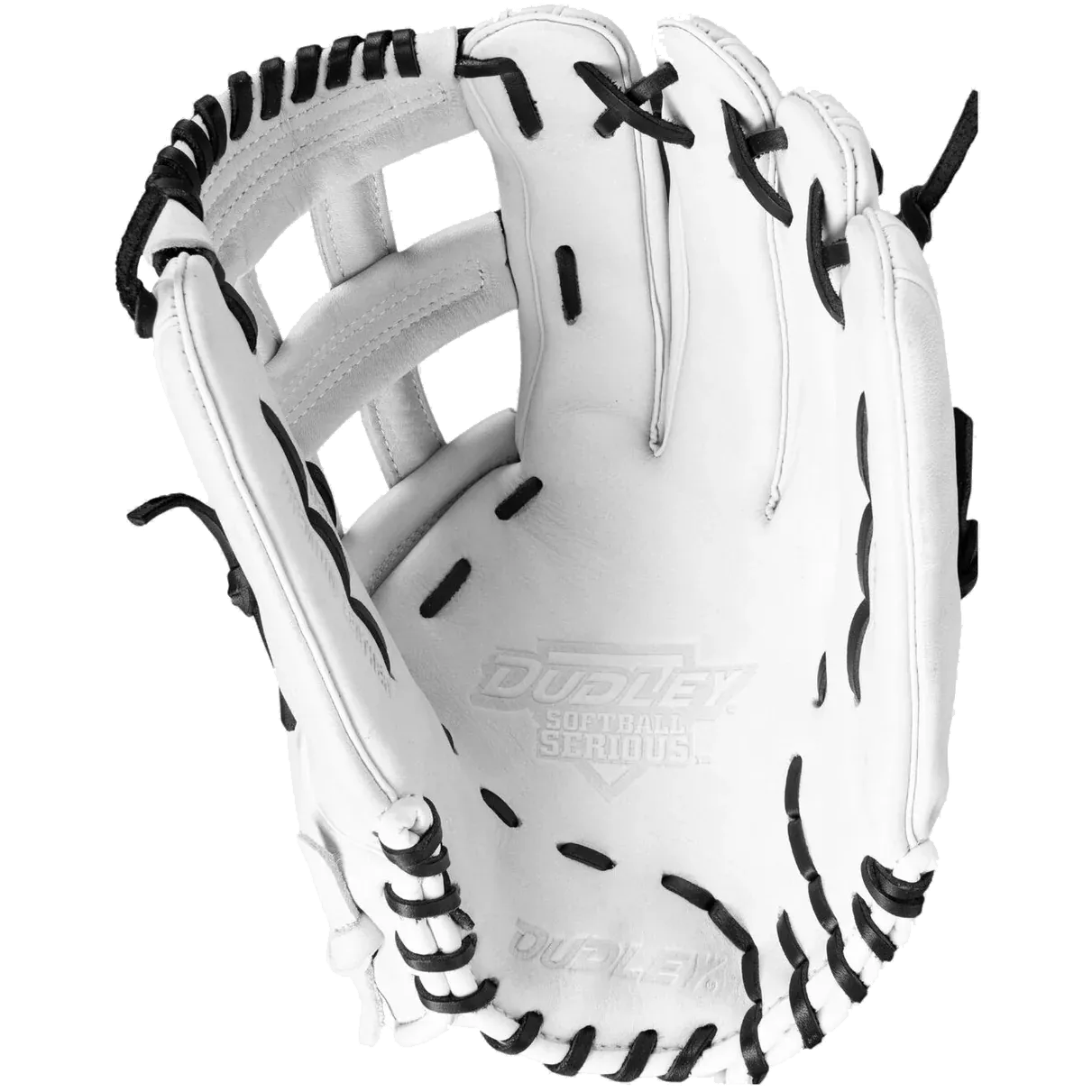 Dudley 13 Slowpitch Glove: DFG13H