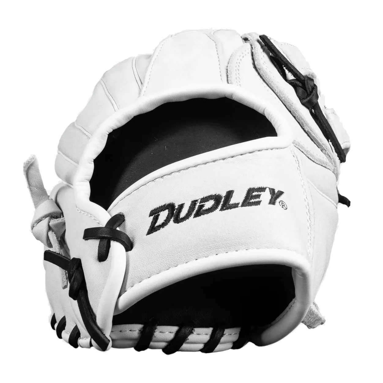 Dudley 13 Slowpitch Glove: DFG13H