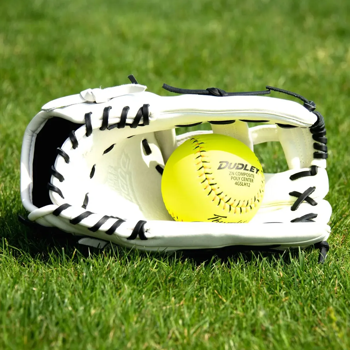 Dudley 13 Slowpitch Glove: DFG13H