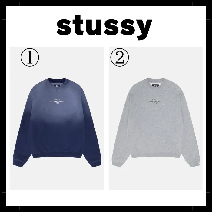 STUSSY  |Crew Neck Pullovers Unisex Street Style Long Sleeves Cotton