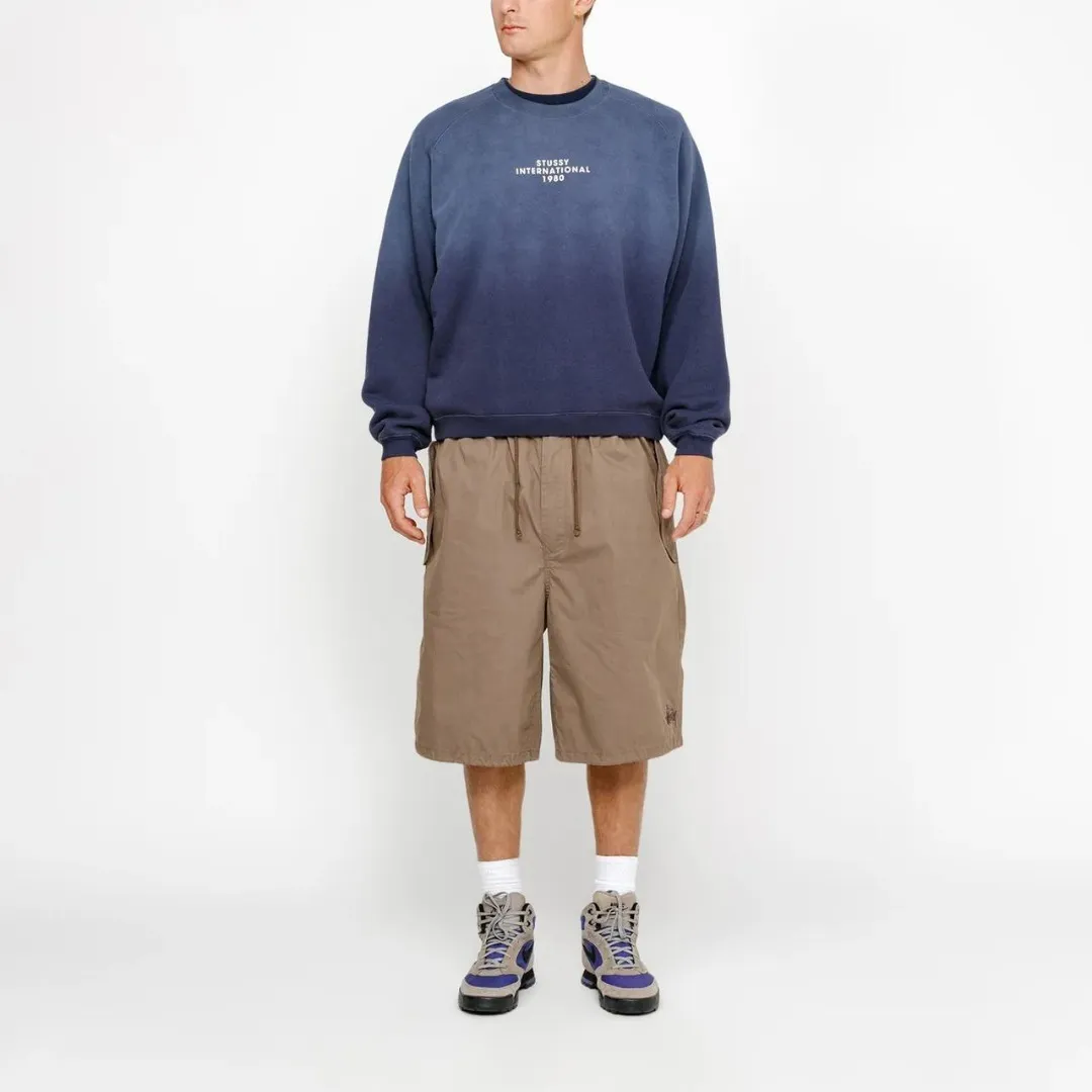 STUSSY  |Crew Neck Pullovers Unisex Street Style Long Sleeves Cotton